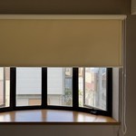 過去の新着情報