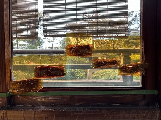 窓ガラスフィルムの剥がし方 - 千葉県の窓ガラスフィルム施工専門店